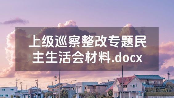 上级巡察整改专题民主生活会材料.docx