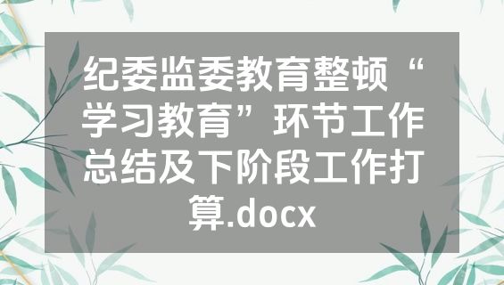 纪委监委教育整顿“学习教育”环节工作总结及下阶段工作打算.docx