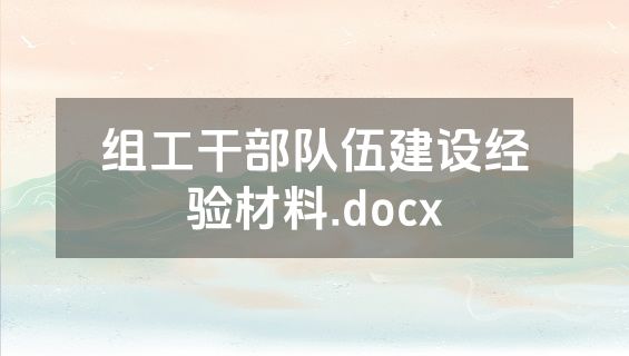 组工干部队伍建设经验材料.docx