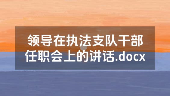 领导在执法支队干部任职会上的讲话.docx