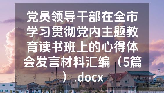 党员领导干部在全市学习贯彻党内主题教育读书班上的心得体会发言材料汇编（5篇）.docx