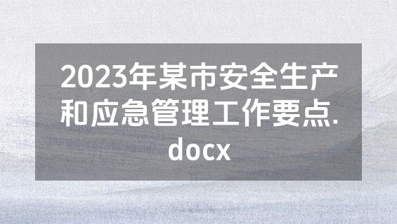 2023年某市安全生产和应急管理工作要点.docx