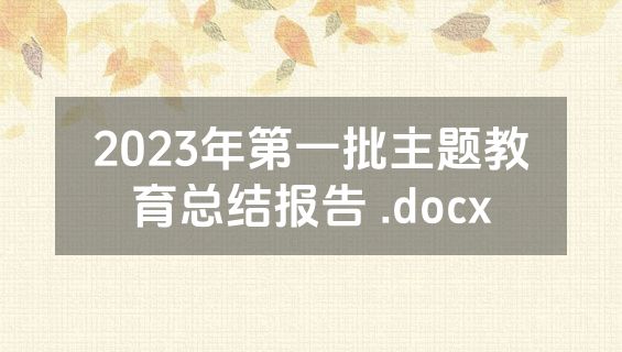 2023年第一批主题教育总结报告 .docx