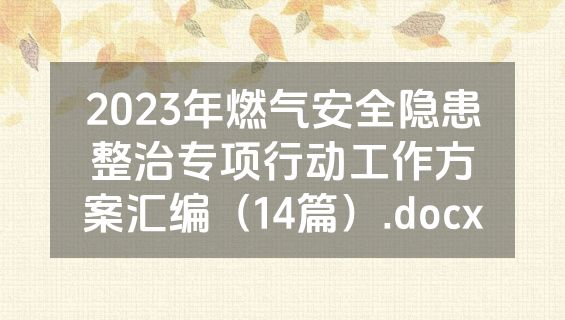 2023年燃气安全隐患整治专项行动工作方案汇编（14篇）.docx