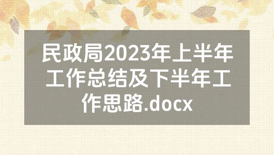 民政局2023年上半年工作总结及下半年工作思路.docx
