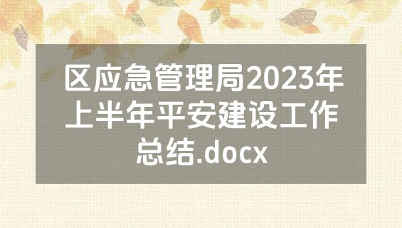 区应急管理局2023年上半年平安建设工作总结.docx