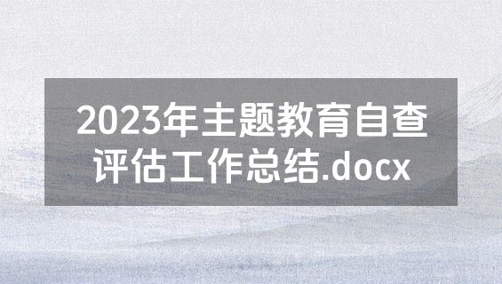 2023年主题教育自查评估工作总结.docx