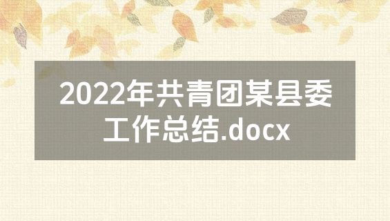 2022年共青团某县委工作总结.docx
