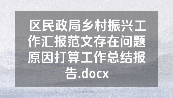 区民政局乡村振兴工作汇报范文存在问题原因打算工作总结报告.docx