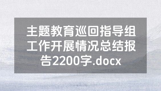 主题教育巡回指导组工作开展情况总结报告2200字.docx