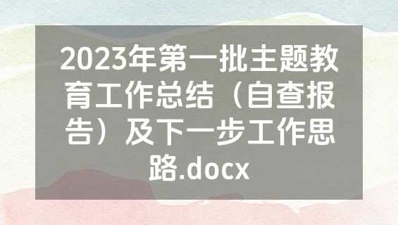 2023年第一批主题教育工作总结（自查报告）及下一步工作思路.docx