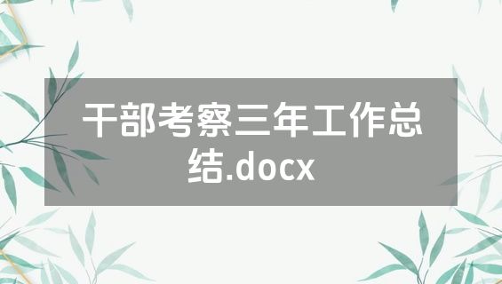 干部考察三年工作总结.docx