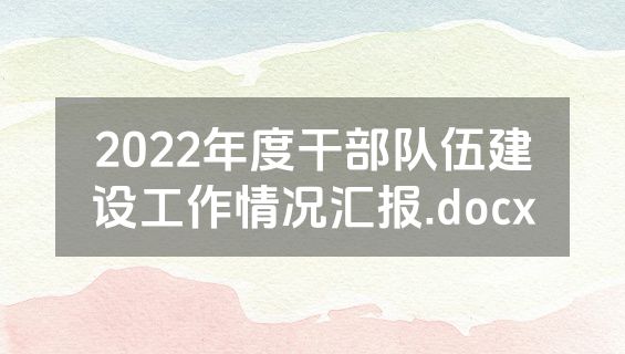 2022年度干部队伍建设工作情况汇报.docx