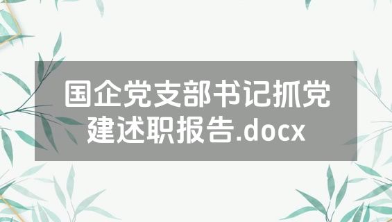 国企党支部书记抓党建述职报告.docx