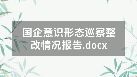 国企意识形态巡察整改情况报告.docx