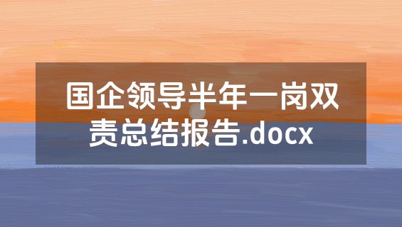 国企领导半年一岗双责总结报告.docx
