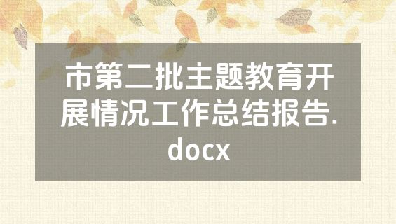 市第二批主题教育开展情况工作总结报告.docx