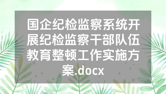 国企纪检监察系统开展纪检监察干部队伍教育整顿工作实施方案.docx