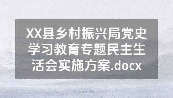 XX县乡村振兴局党史学习教育专题民主生活会实施方案.docx