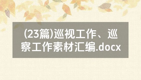 (23篇)巡视工作、巡察工作素材汇编.docx