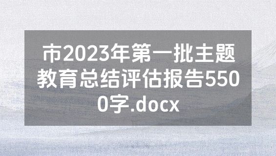 市2023年第一批主题教育总结评估报告5500字.docx
