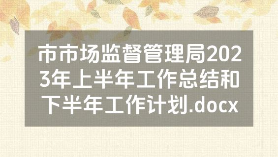 市市场监督管理局2023年上半年工作总结和下半年工作计划.docx