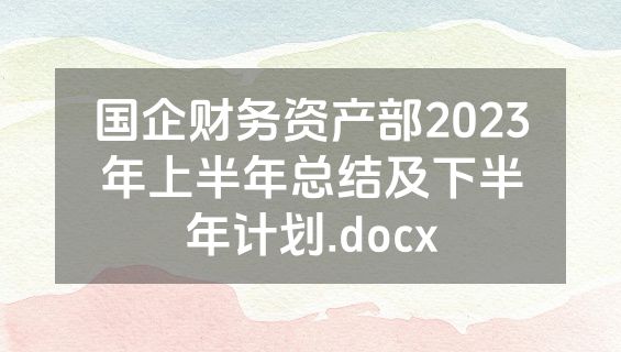 国企财务资产部2023年上半年总结及下半年计划.docx