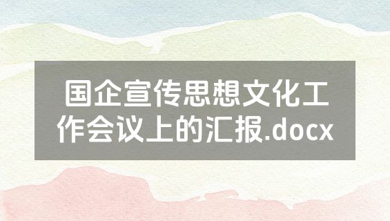 国企宣传思想文化工作会议上的汇报.docx
