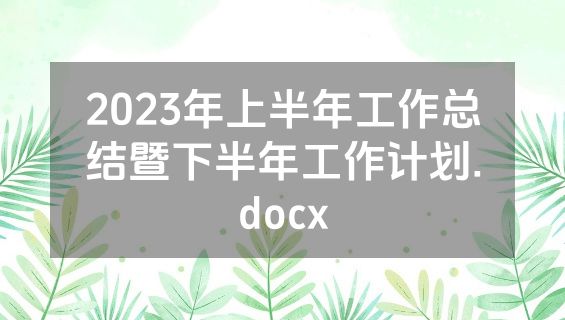 2023年上半年工作总结暨下半年工作计划.docx
