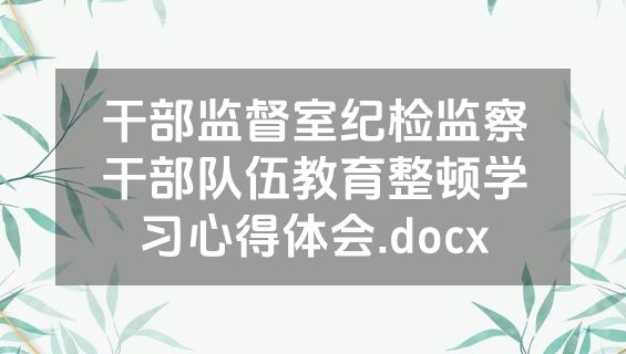 干部监督室纪检监察干部队伍教育整顿学习心得体会.docx