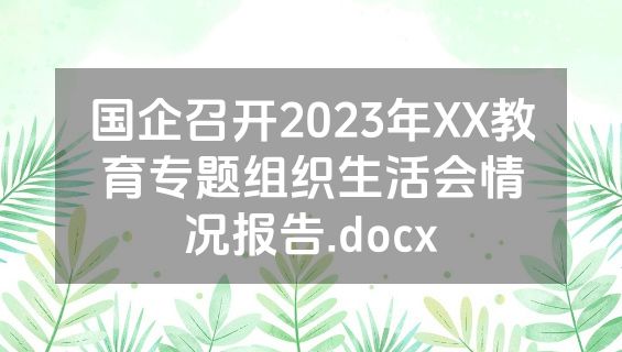 国企召开2023年XX教育专题组织生活会情况报告.docx