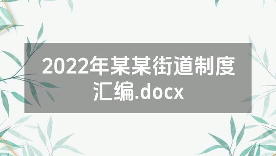2022年某某街道制度汇编.docx