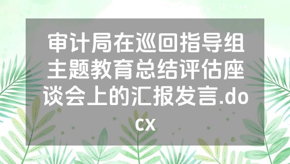 审计局在巡回指导组主题教育总结评估座谈会上的汇报发言.docx