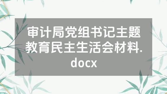 审计局党组书记主题教育民主生活会材料.docx