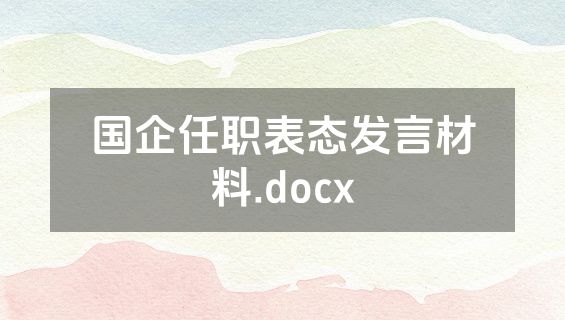 国企任职表态发言材料.docx