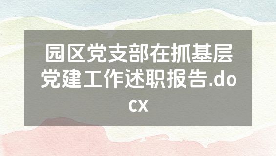 园区党支部在抓基层党建工作述职报告.docx
