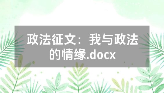 政法征文：我与政法的情缘.docx