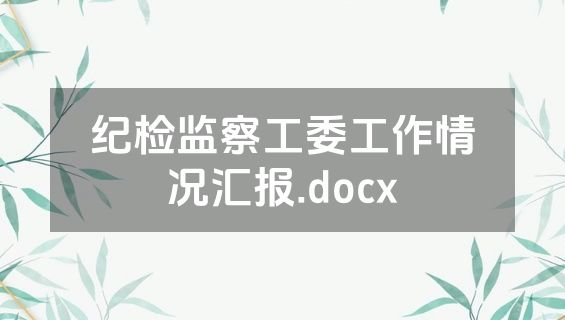 纪检监察工委工作情况汇报.docx