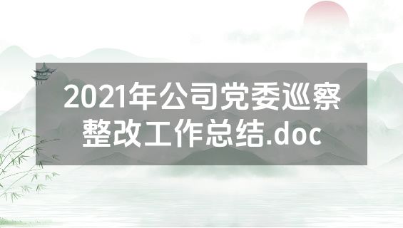 2021年公司党委巡察整改工作总结.doc