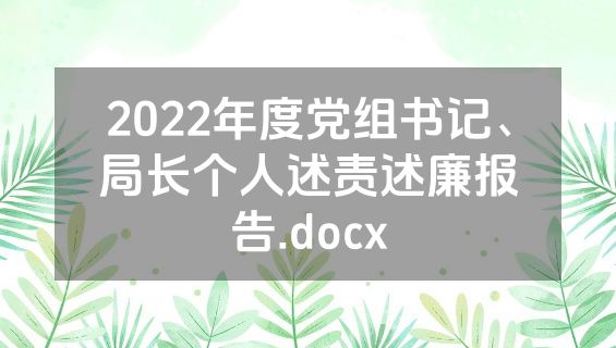 2022年度党组书记、局长个人述责述廉报告.docx