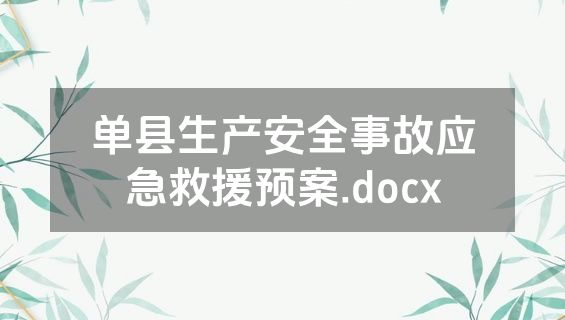 单县生产安全事故应急救援预案.docx