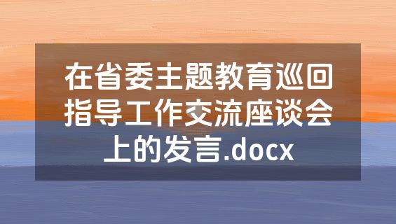 在省委主题教育巡回指导工作交流座谈会上的发言.docx