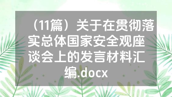 （11篇）关于在贯彻落实总体国家安全观座谈会上的发言材料汇编.docx