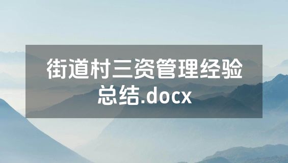街道村三资管理经验总结.docx