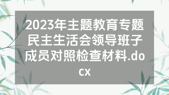 2023年主题教育专题民主生活会领导班子成员对照检查材料.docx