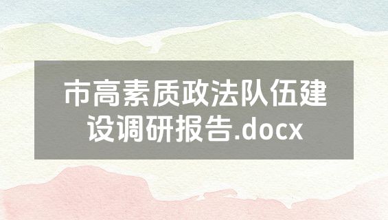 市高素质政法队伍建设调研报告.docx