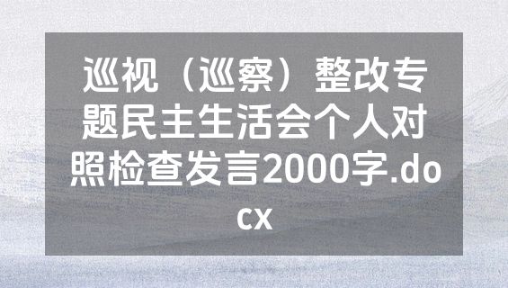巡视（巡察）整改专题民主生活会个人对照检查发言2000字.docx
