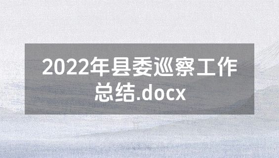 2022年县委巡察工作总结.docx
