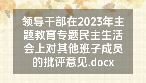 领导干部在2023年主题教育专题民主生活会上对其他班子成员的批评意见.docx