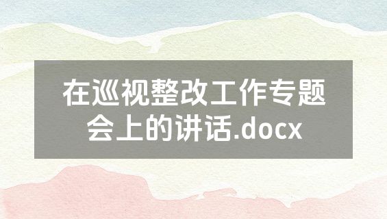 在巡视整改工作专题会上的讲话.docx
